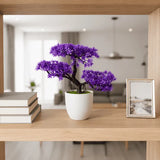 Bonsai Nuvem Artificial Lilás