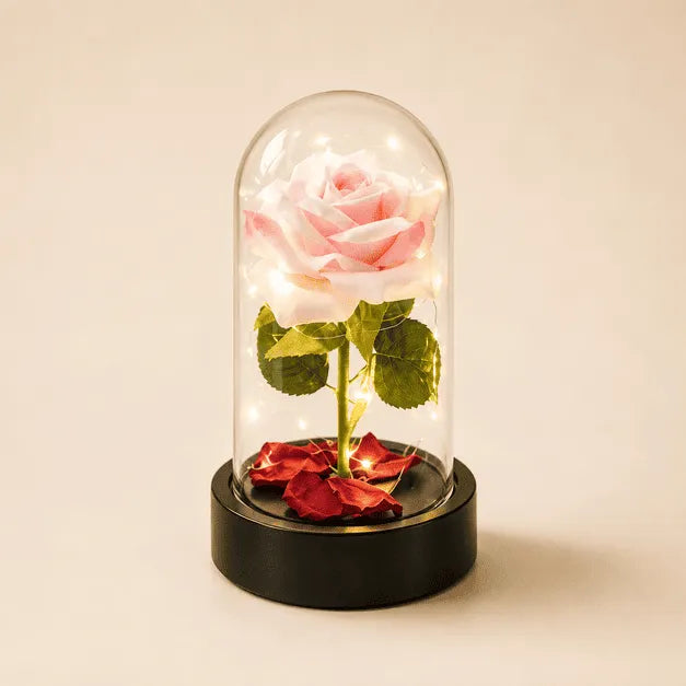 Rosa Eterna Iluminada