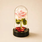 Rosa Eterna Iluminada