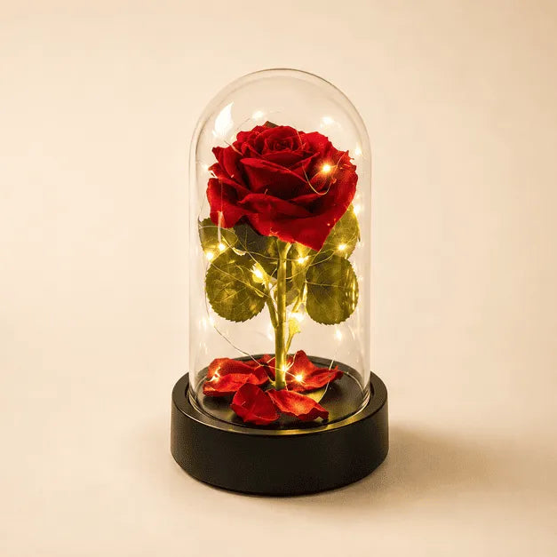 Rosa Eterna Iluminada