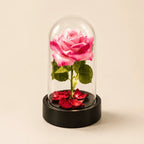 Rosa Eterna Iluminada