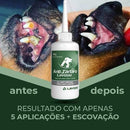 Removedor De Pelos Para Sofá e Cama - Gungla